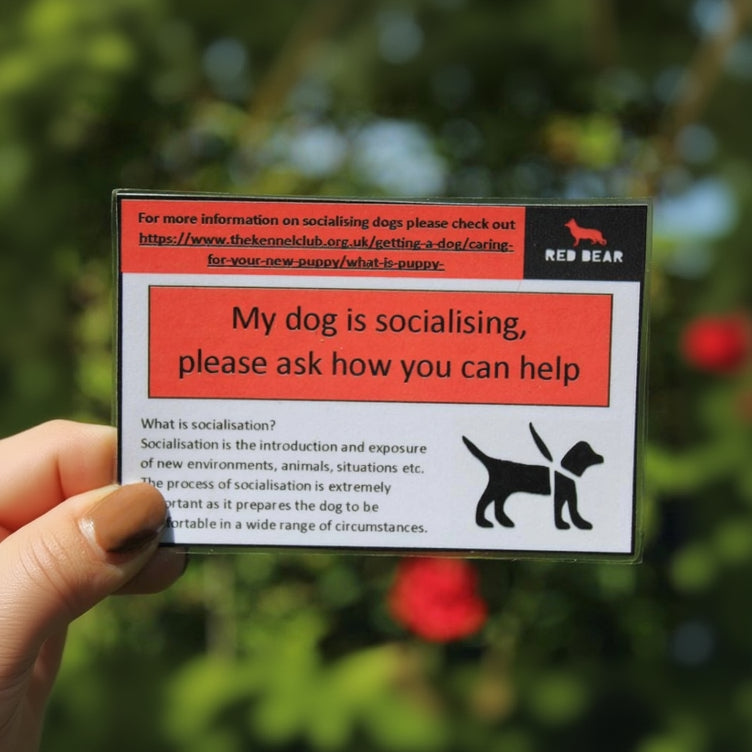 My dog/puppy is socialising communication card
