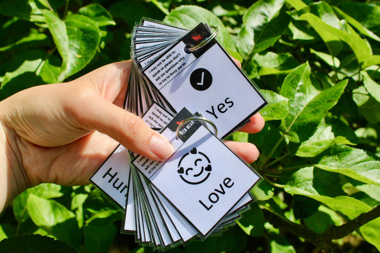 4 pack communication card/non-verbal set bundle