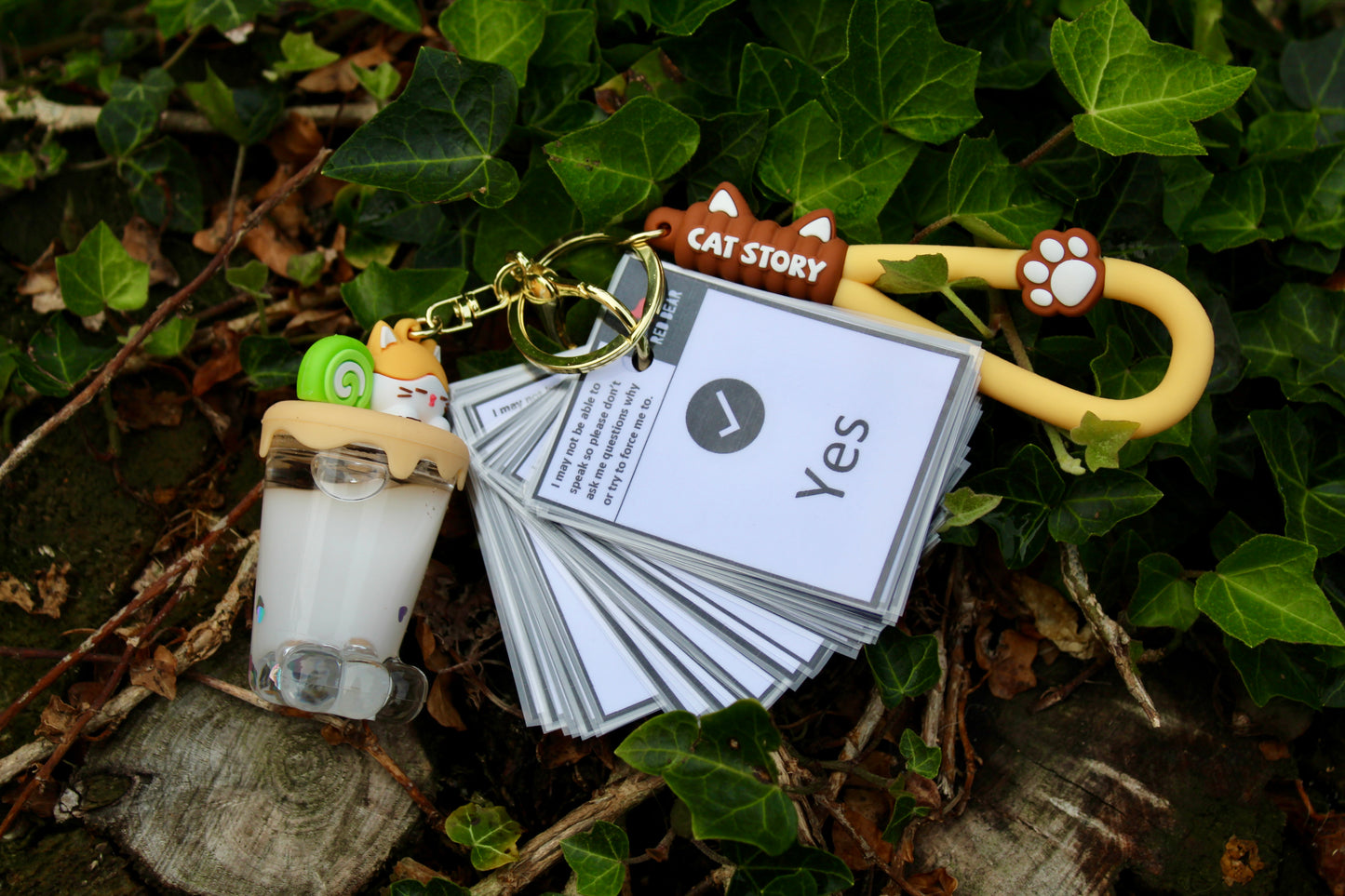 Animal/dinosaur/cat themed sensory liquid keychain and matching 32pcs non-verbal communication set