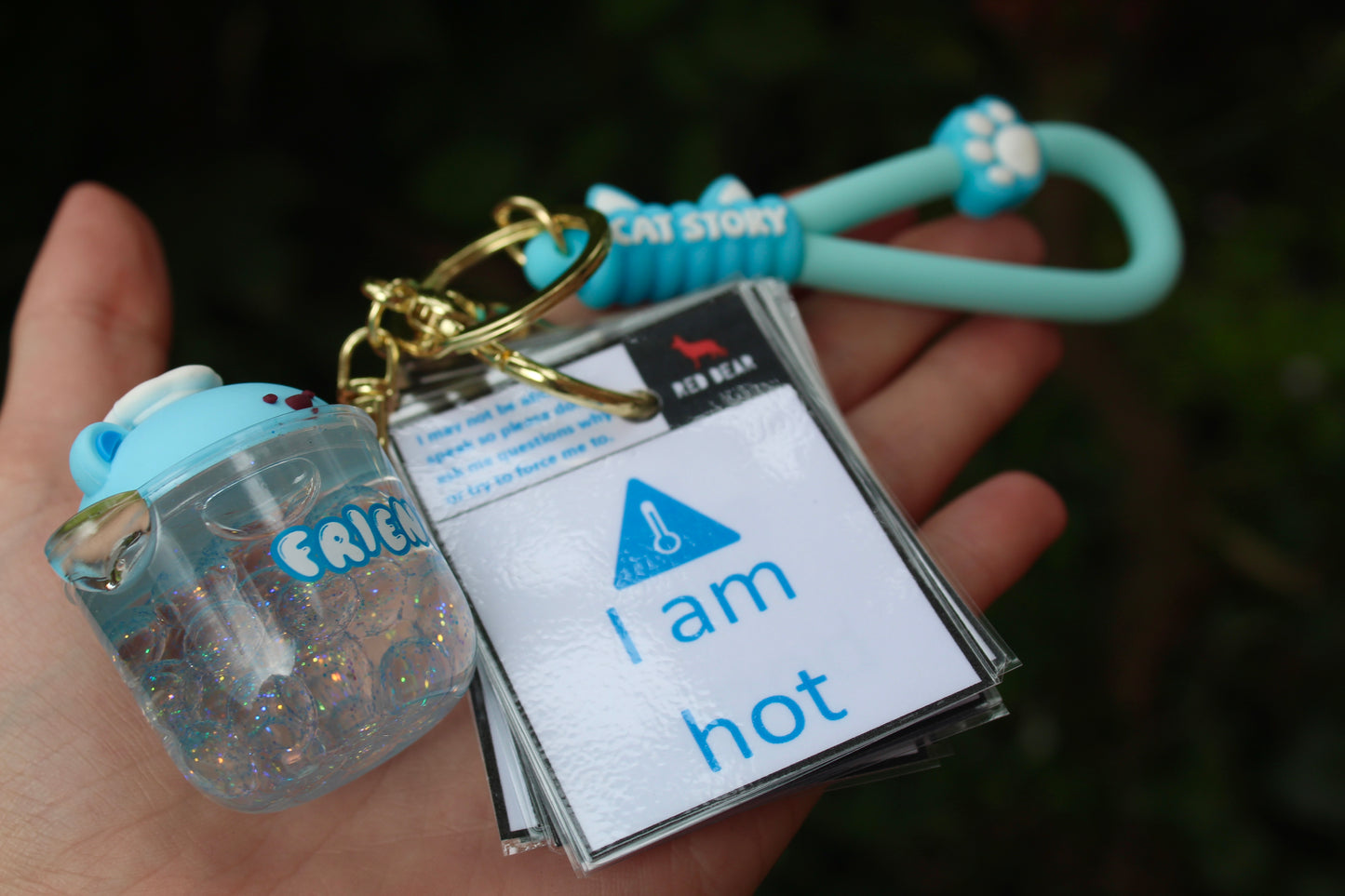 Animal/dinosaur/cat themed sensory liquid keychain and matching 32pcs non-verbal communication set