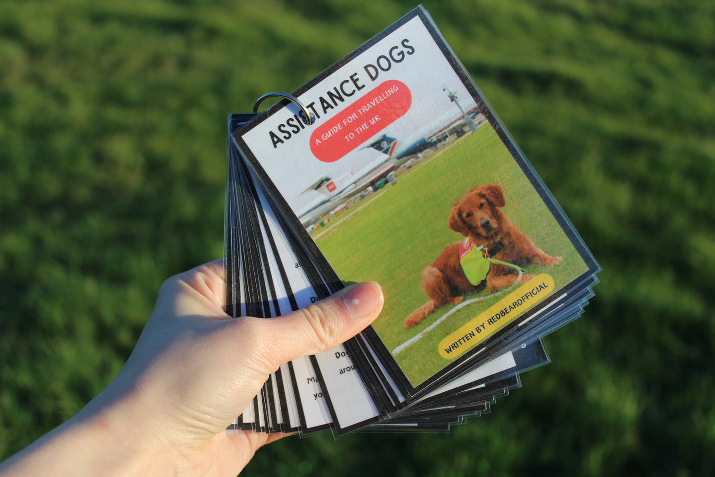 A guide to travelling to the UK with a working dog (information booklet)