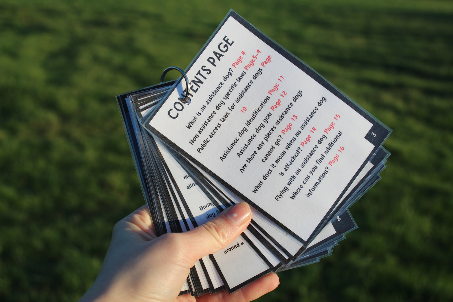 A guide to travelling to the UK with a working dog (information booklet)