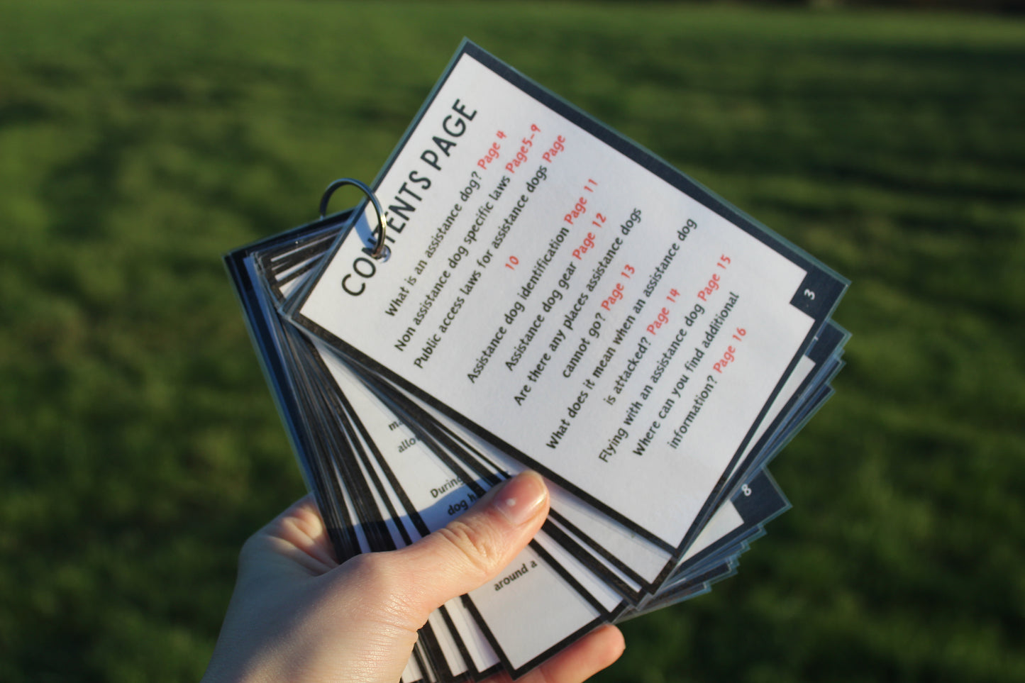 A guide to travelling to the UK with a working dog (information booklet)