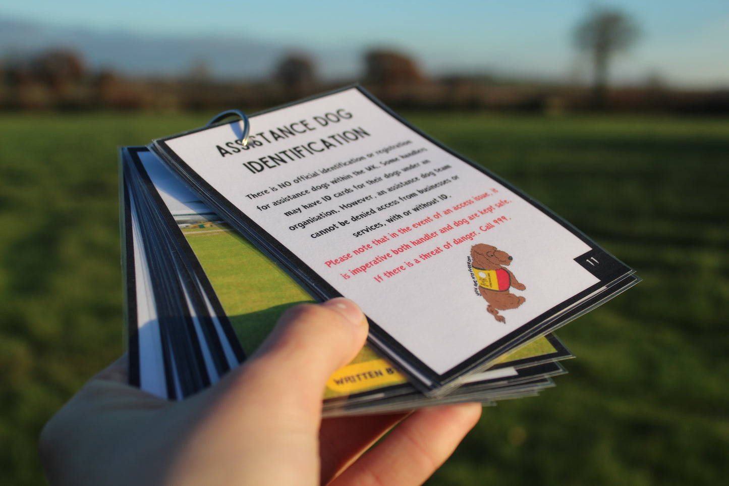 A guide to travelling to the UK with a working dog (information booklet)