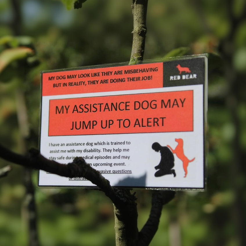 My working dog jumps to alert communication card