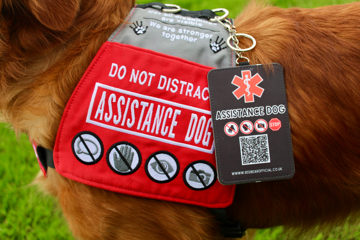 Autistic | Medical alert | Assistance dog | Wheelchair | Card holder patch tab keychain with emergency information cards