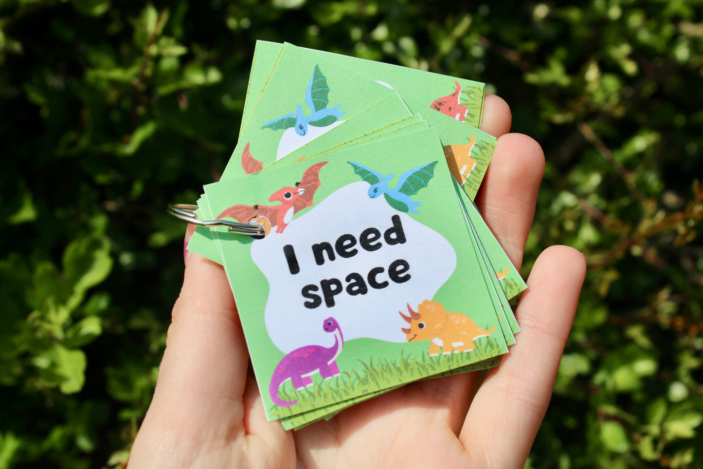 Budget friendly dinosaur themed non-verbal communication booklet