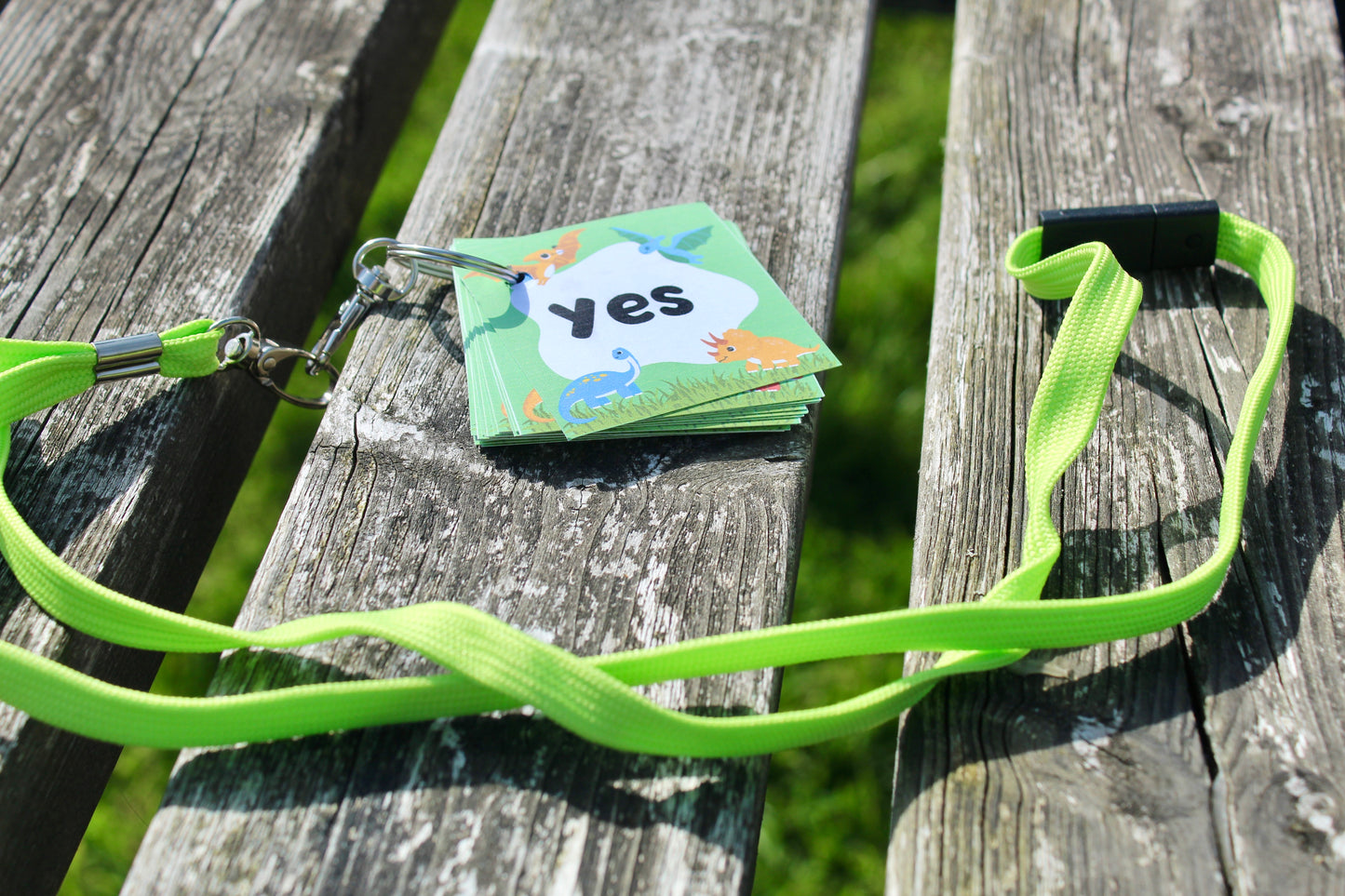 Budget friendly dinosaur themed non-verbal communication booklet