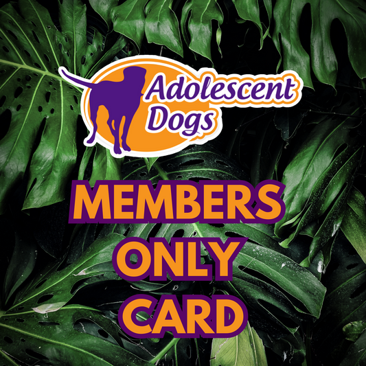 Adolescent Dog Member's ONLY Card