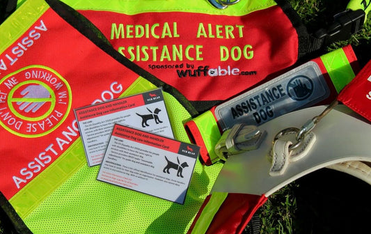 Working dog law explanation and communication card