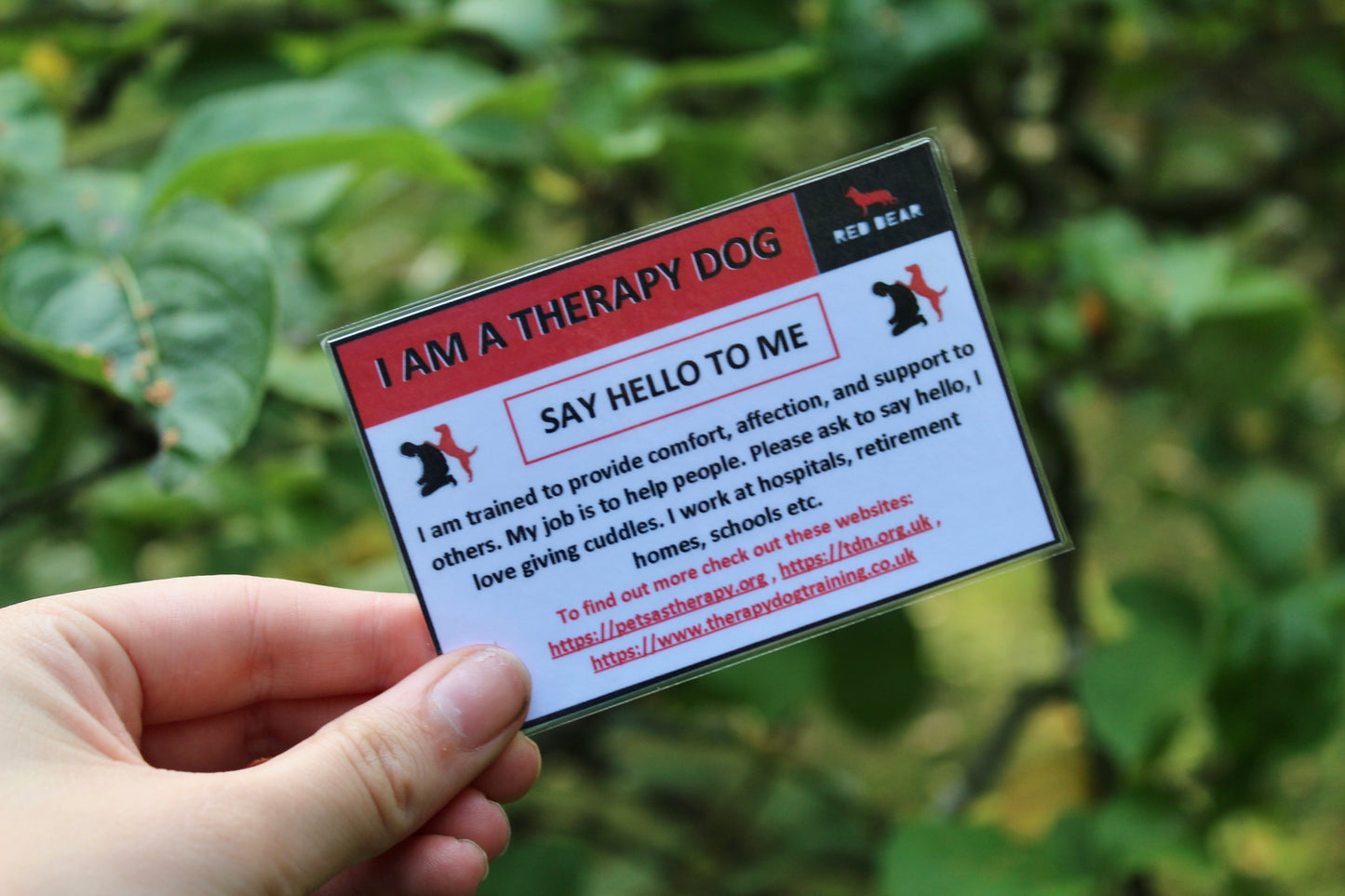 Therapy dog explanation/alert/communication card