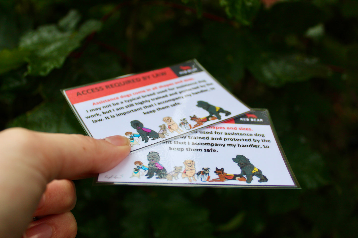 Assistance dogs come in all shapes and sizes communication card