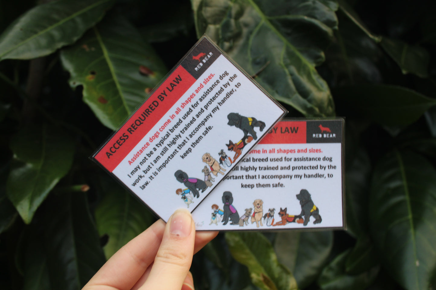 Assistance dogs come in all shapes and sizes communication card