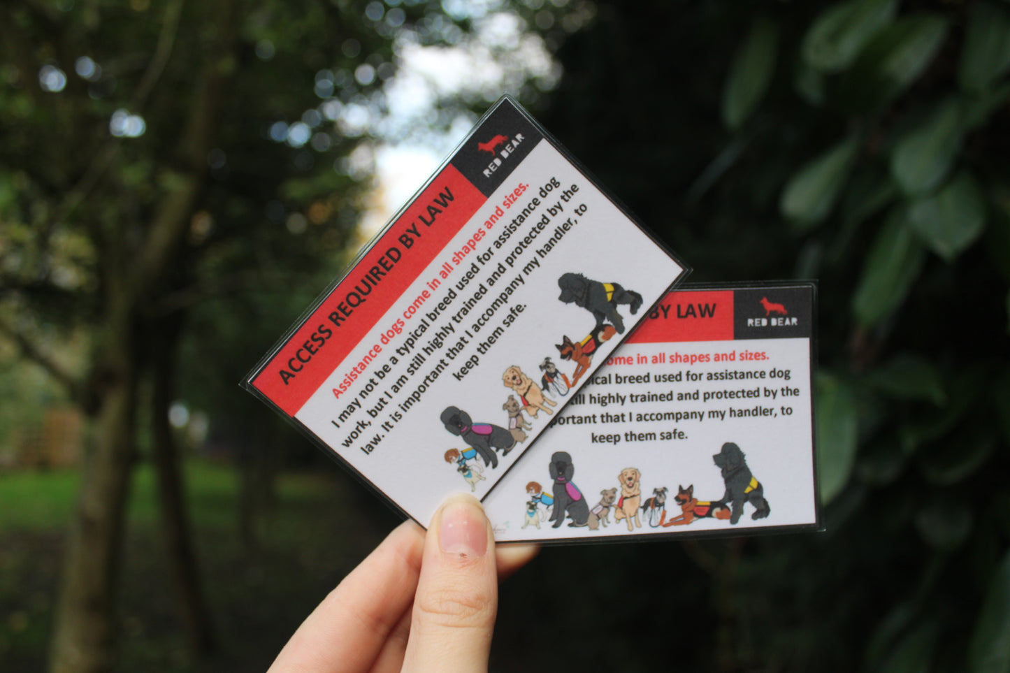 Assistance dogs come in all shapes and sizes communication card