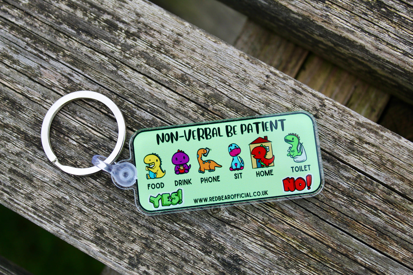 Non-verbal dinosaur themed keychain for Autism | Anxiety | learning disabilities