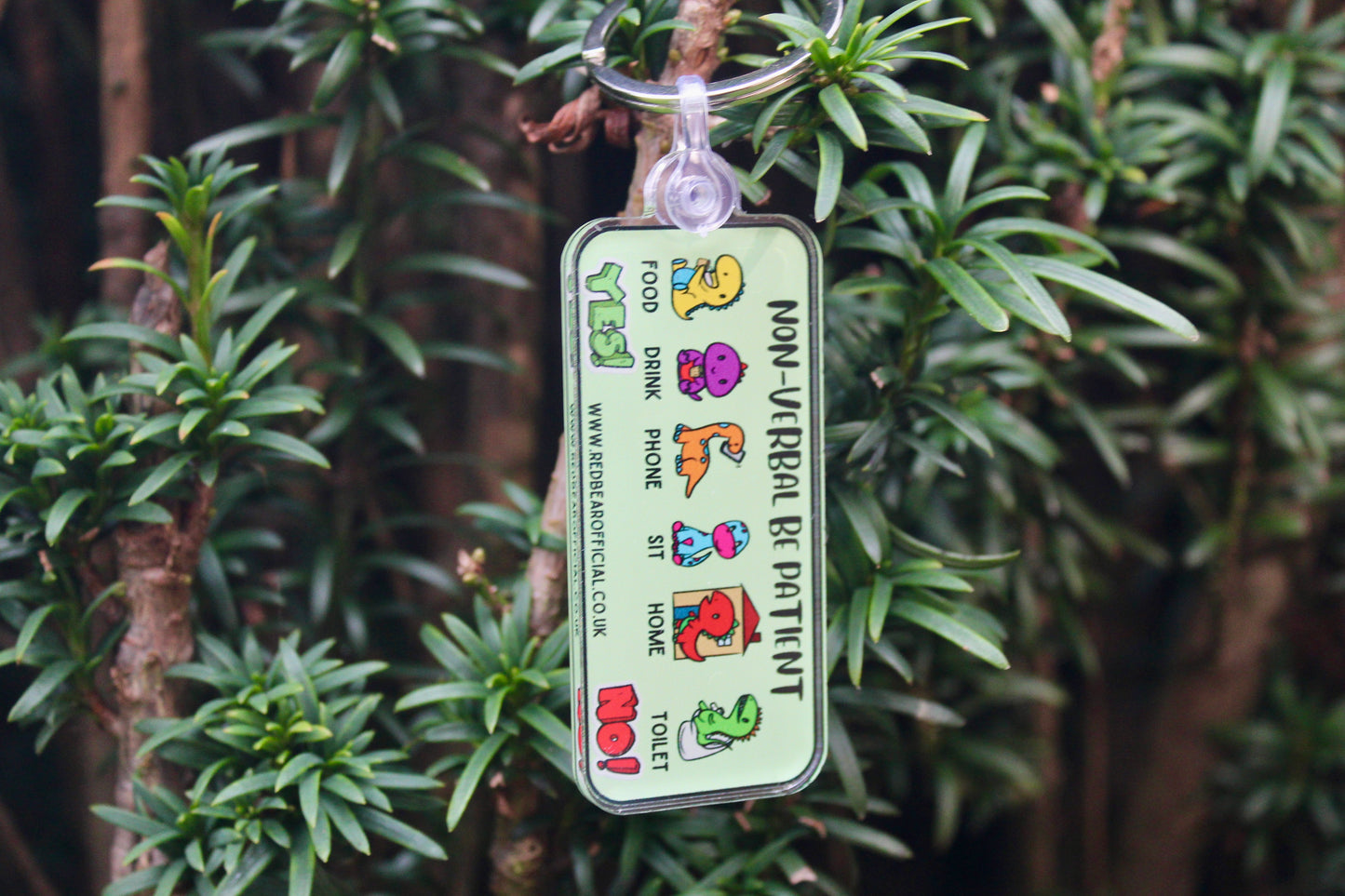 Non-verbal dinosaur themed keychain for Autism | Anxiety | learning disabilities