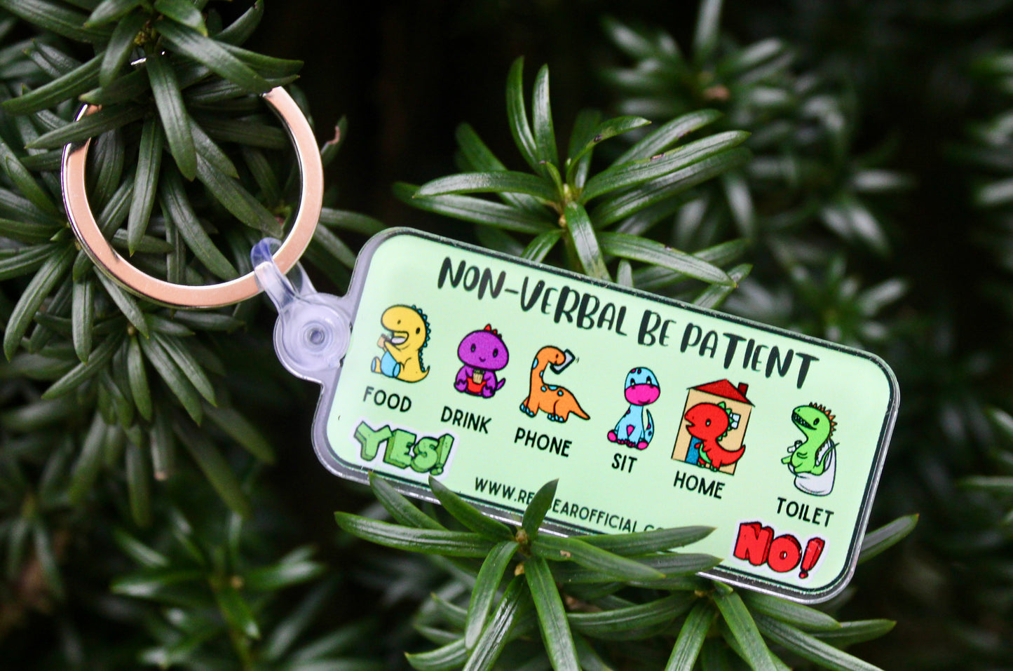 Non-verbal dinosaur themed keychain for Autism | Anxiety | learning disabilities