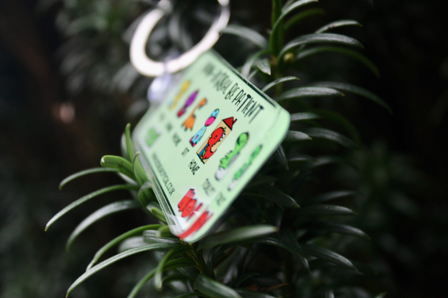 Non-verbal dinosaur themed keychain for Autism | Anxiety | learning disabilities