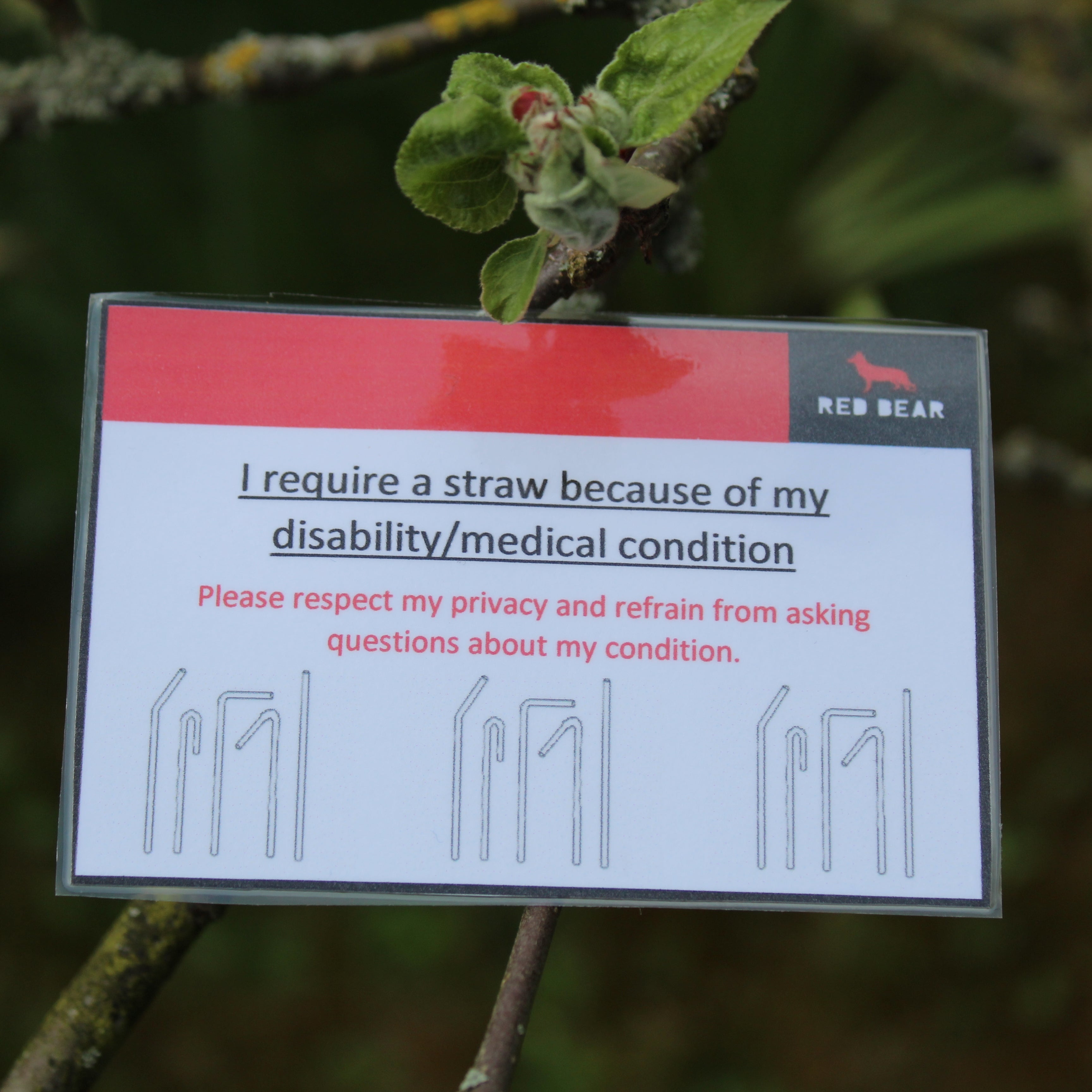 Straw Card I require a straw disability/communication alert card – RedBearOfficial LTD