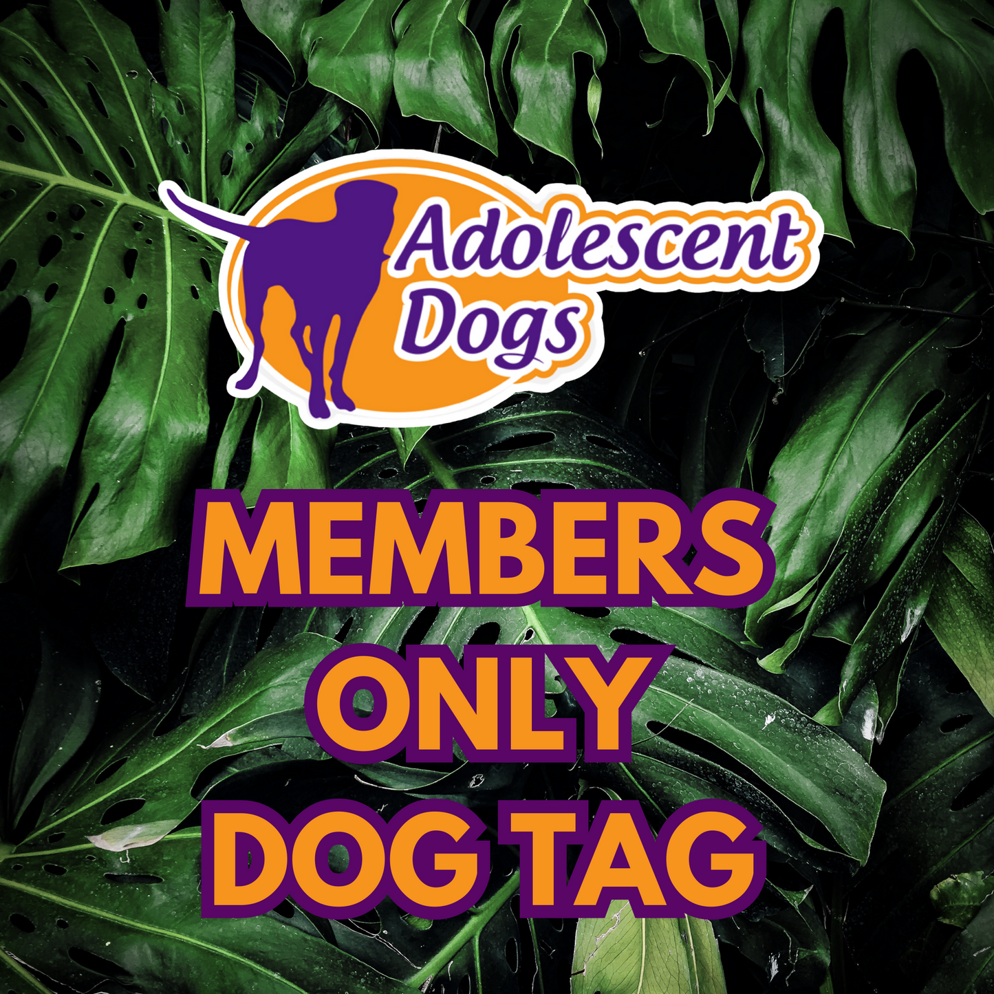 Adolescent Dogs Members Only Dog Tag